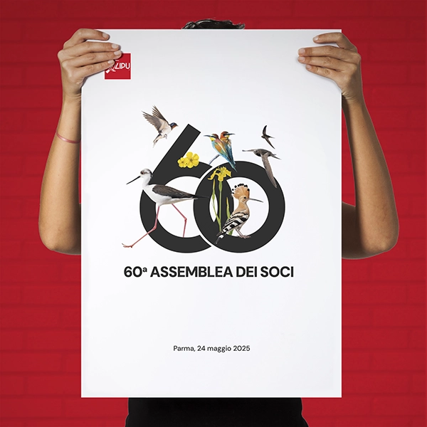 Una persona tiene in mano un manifesto con la 60ª ASSEMBLEA DEI SOCI LIPU e illustrazioni di uccelli, su uno sfondo di muro di mattoni rossi.